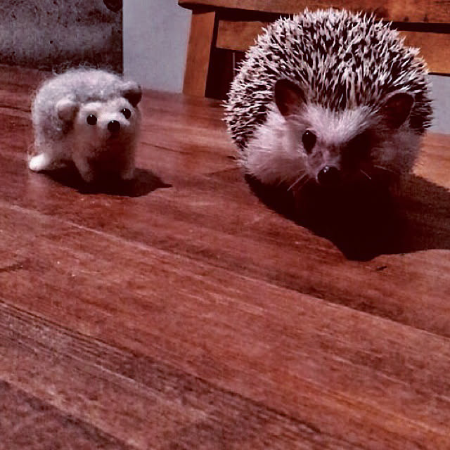 saokoさんの実例写真