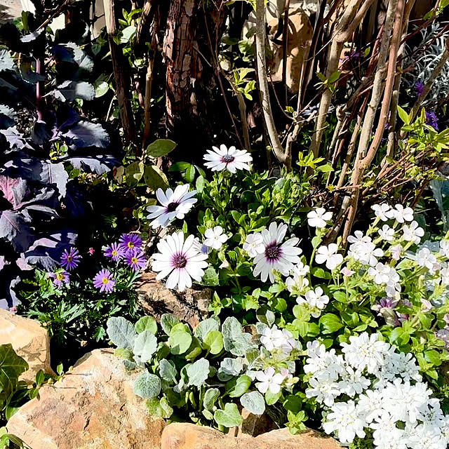 soraさんの実例写真