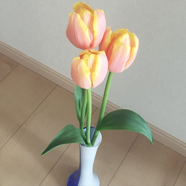 fuuuuさんの実例写真