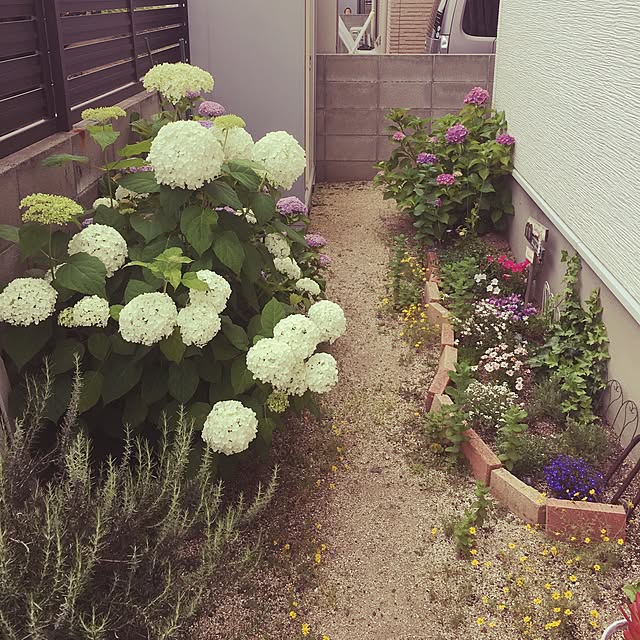 chiroさんの実例写真