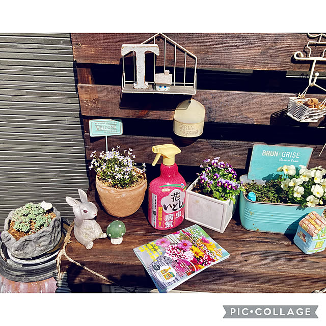 CoCo0617さんの部屋