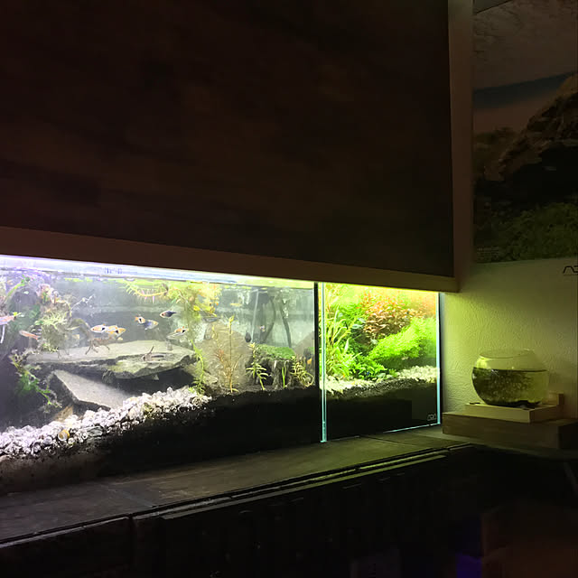 kouta_Co.さんの実例写真