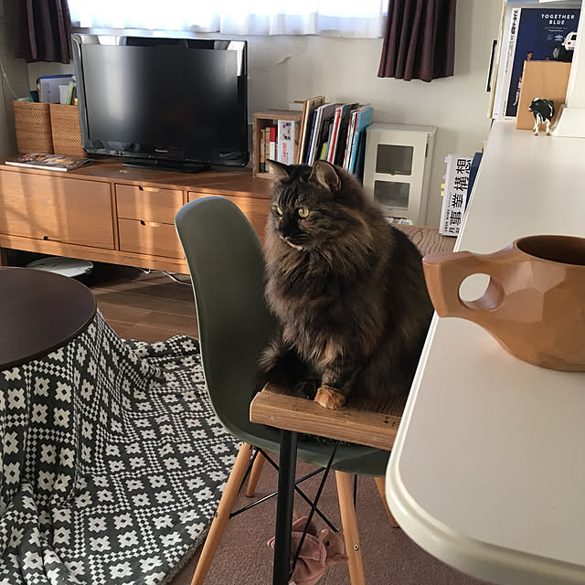 mikomaruさんの実例写真