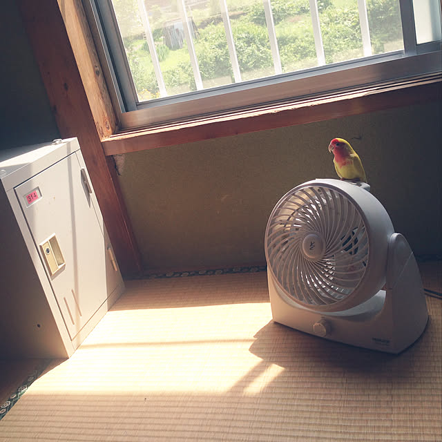 aoinokimiさんの実例写真
