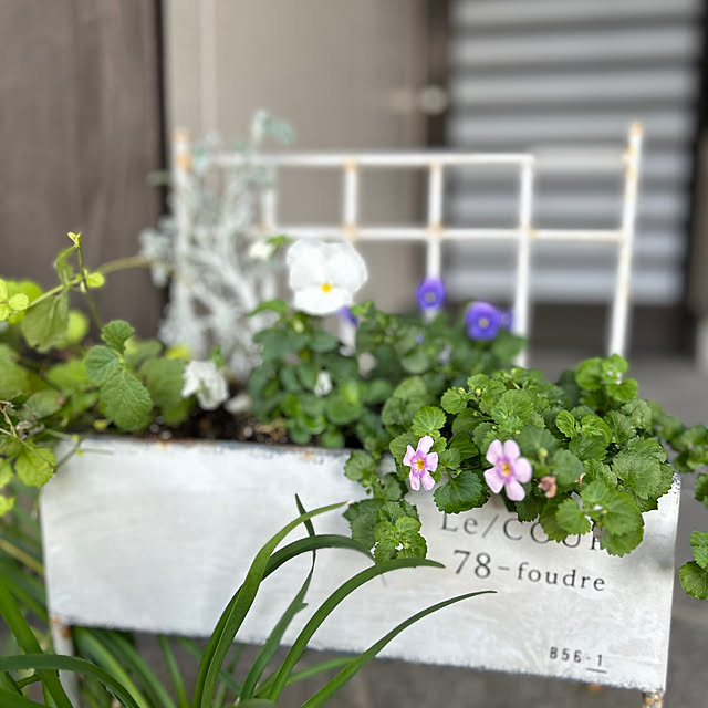 mozukuさんの部屋