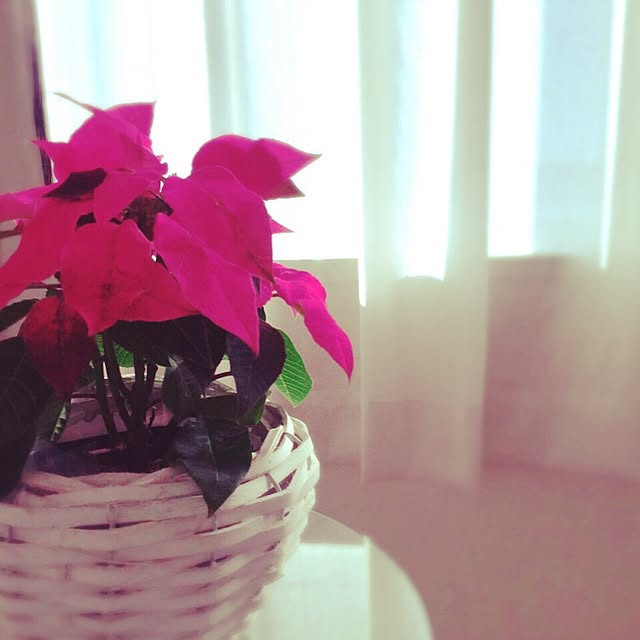 oto.no.iroさんの実例写真