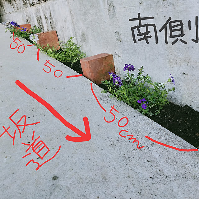 Naomiさんの実例写真