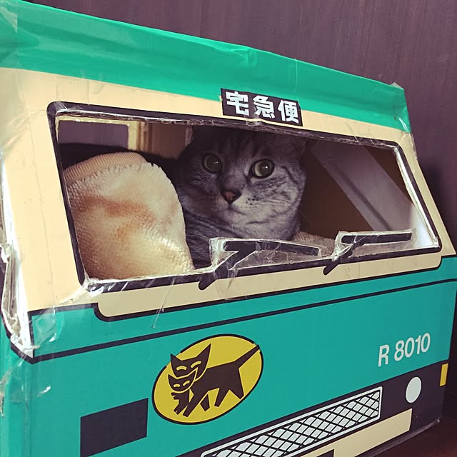 実例写真