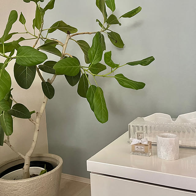 mari50さんの実例写真