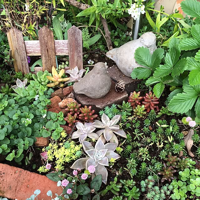 yukkoさんの実例写真