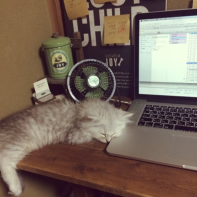 joy-designさんの実例写真