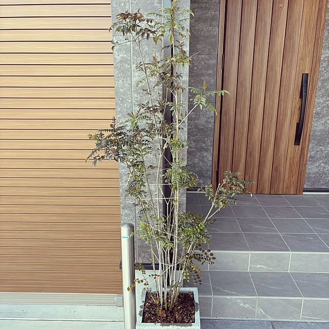 pfs550さんの部屋