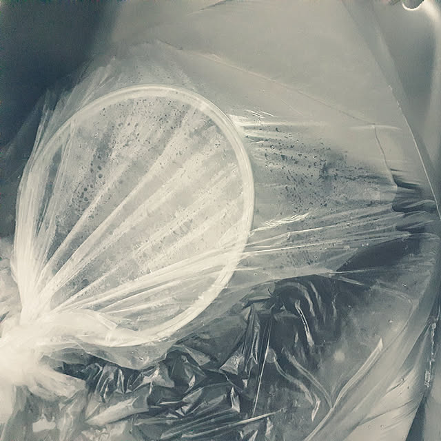 dolphin24さんの実例写真
