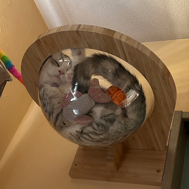 urutotoさんの実例写真