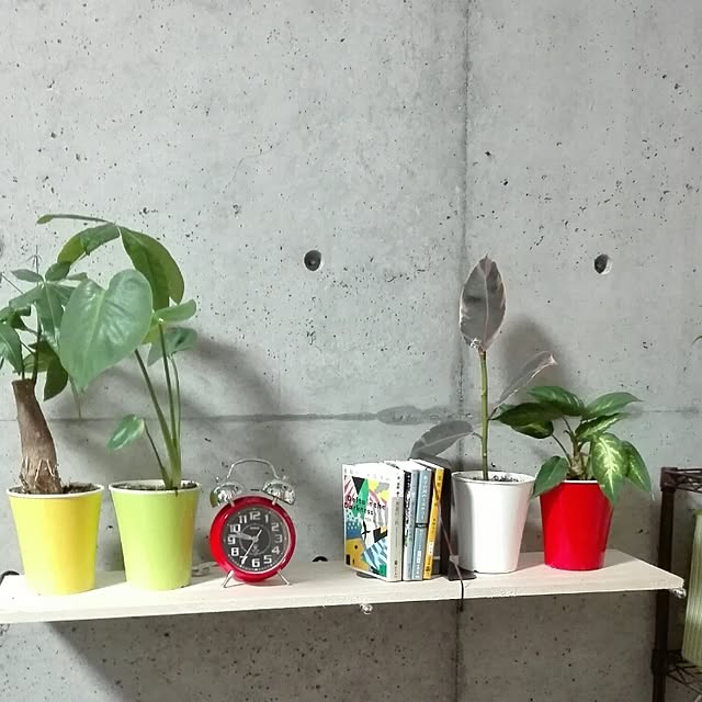tsubasanさんの実例写真
