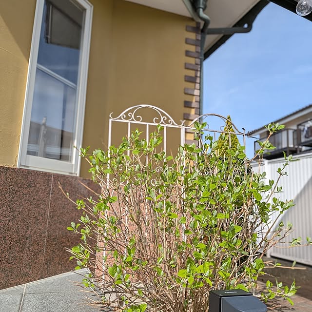 acocoさんの部屋