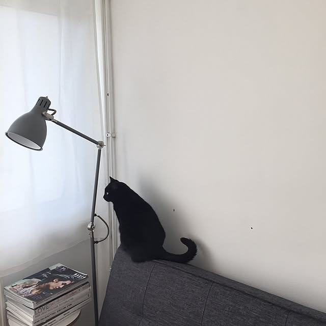 awachan77さんの実例写真