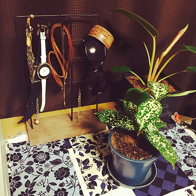milkcocoa117さんの実例写真