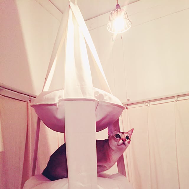 jaajjiさんの実例写真