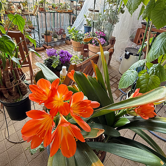 Aqettyさんの実例写真