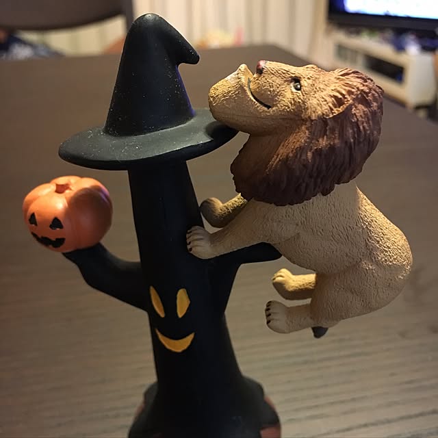harutodaisukiさんの実例写真