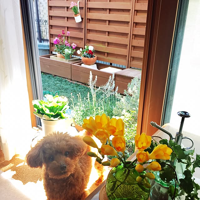 実例写真