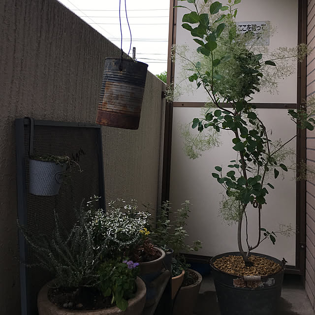 ikukoさんの実例写真