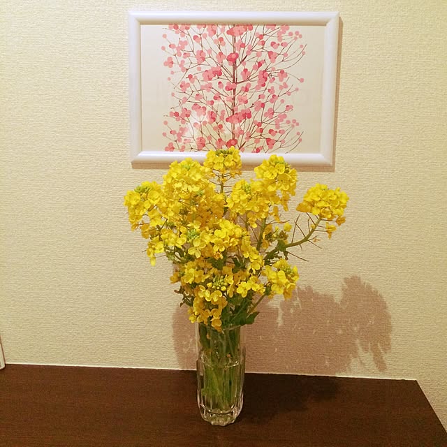 akariさんの実例写真