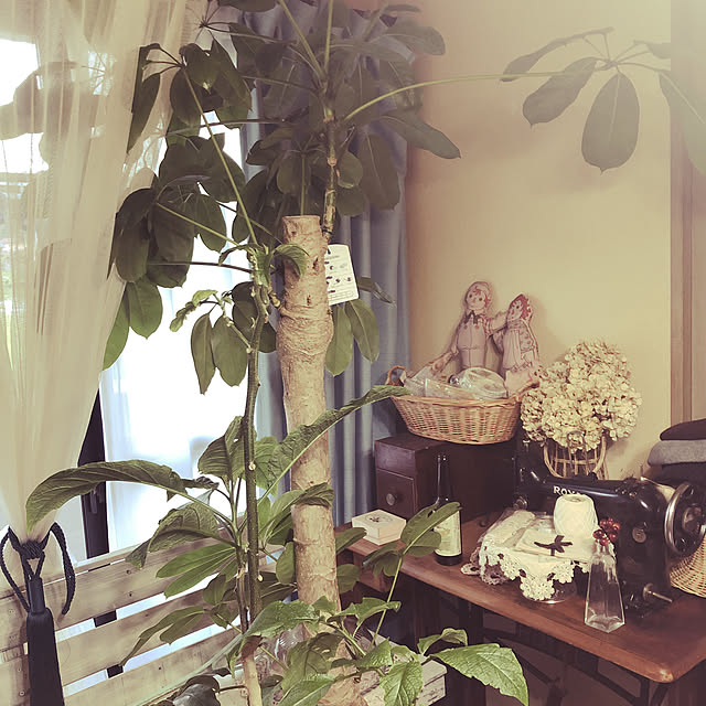 anzuheart_may16さんの実例写真
