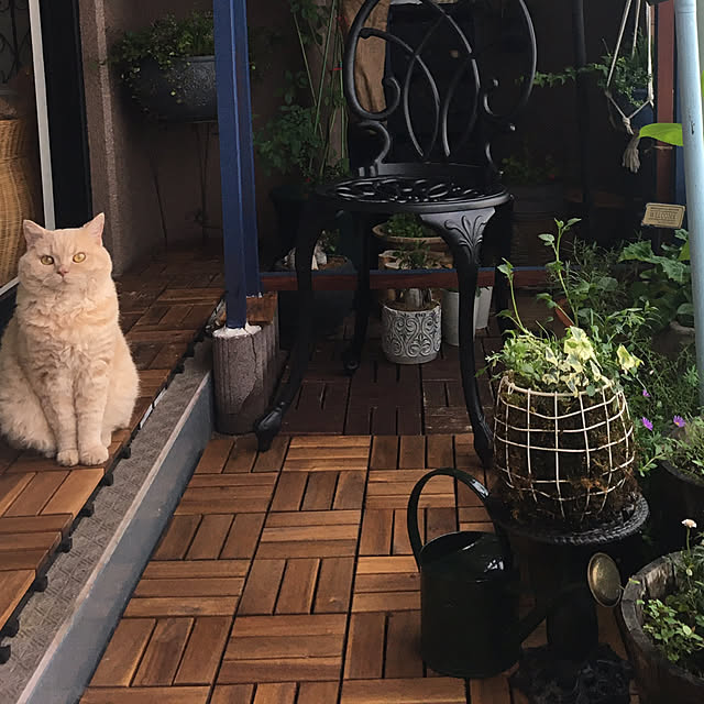 naokoさんの実例写真