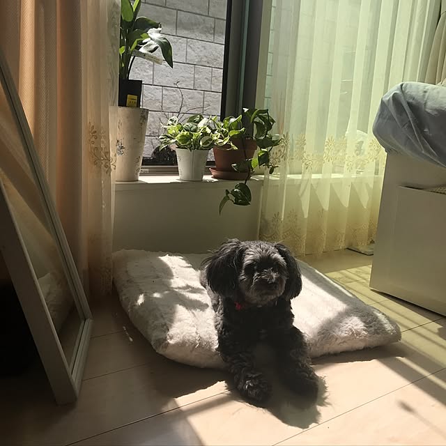Sakiさんの実例写真