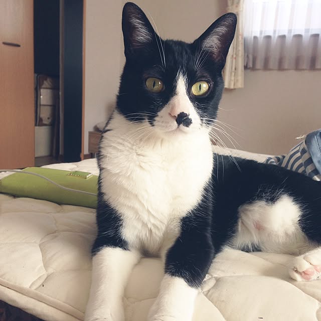 Kinanさんの実例写真