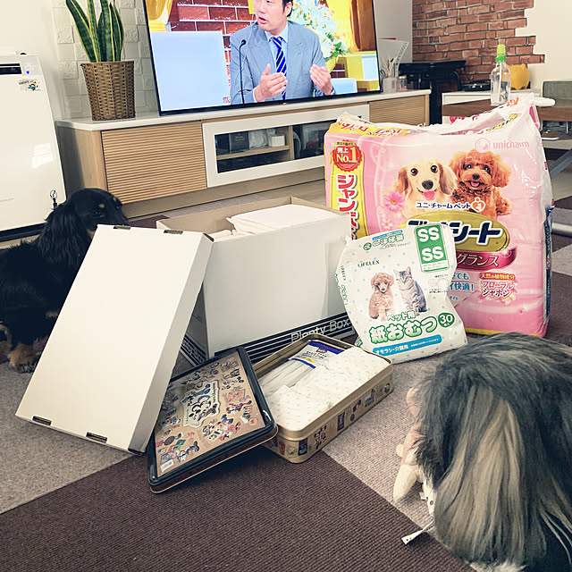 Nobukoさんの実例写真