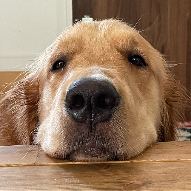 marinkoさんの実例写真