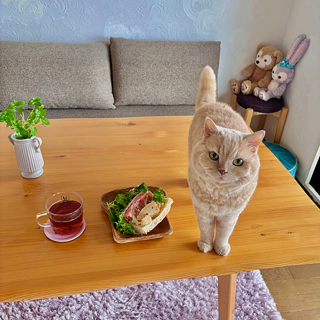 naokoさんの実例写真