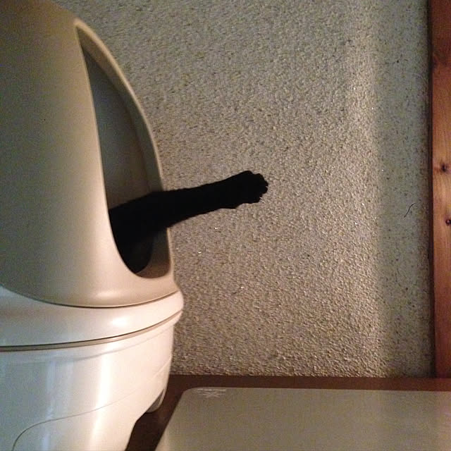 midoroさんの実例写真