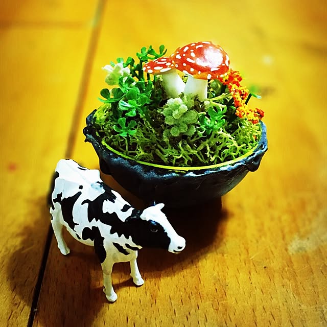 ramuchop3000さんの実例写真