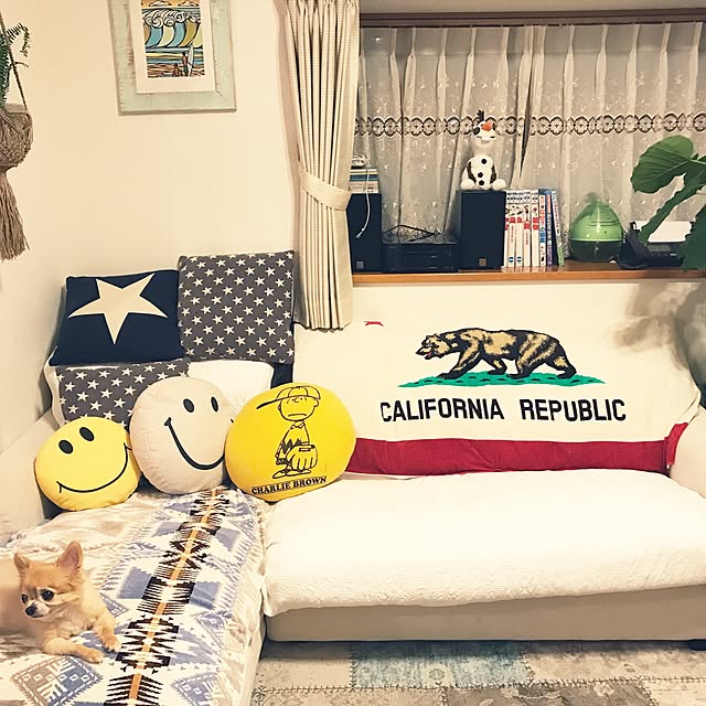 実例写真