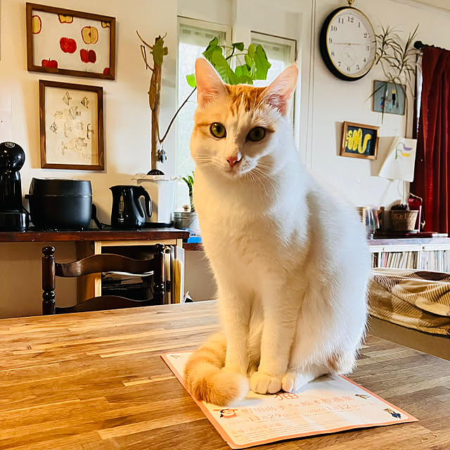 tomorinさんの部屋