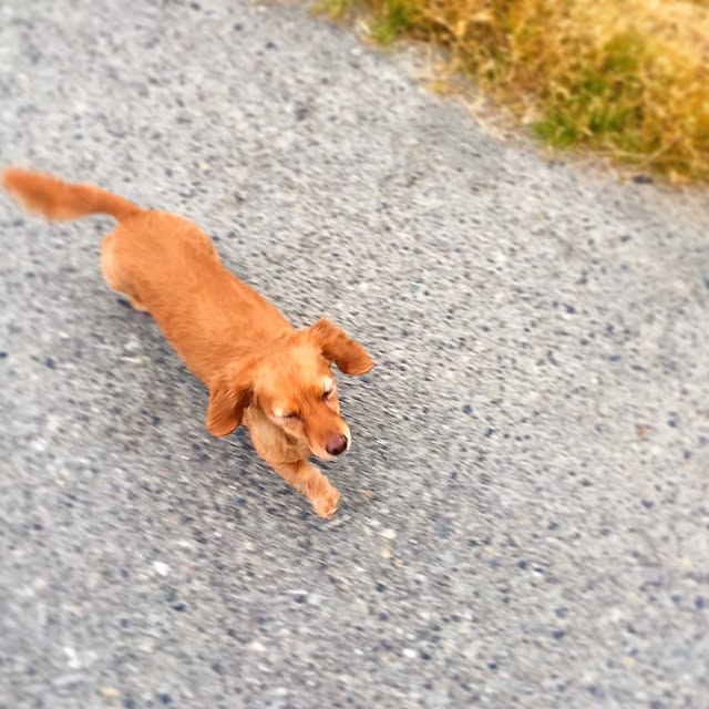 sakuさんの実例写真