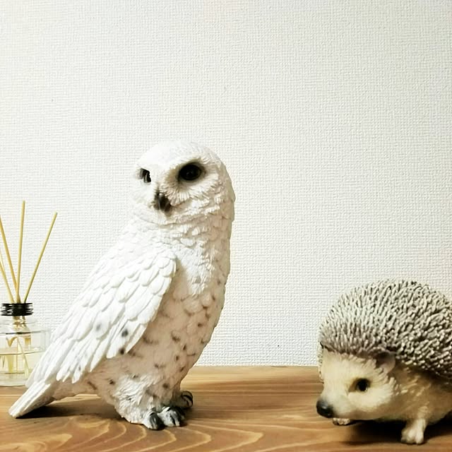 0c.c0さんの実例写真