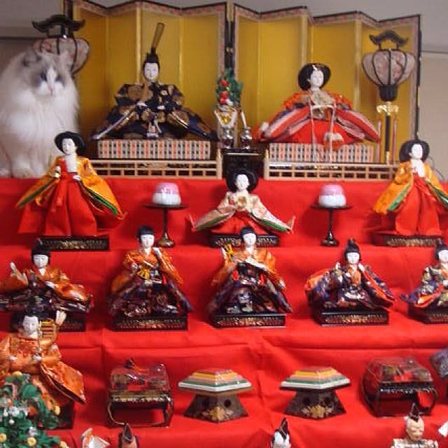 Ayakaさんの実例写真