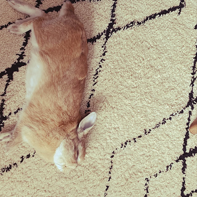 takeさんの実例写真