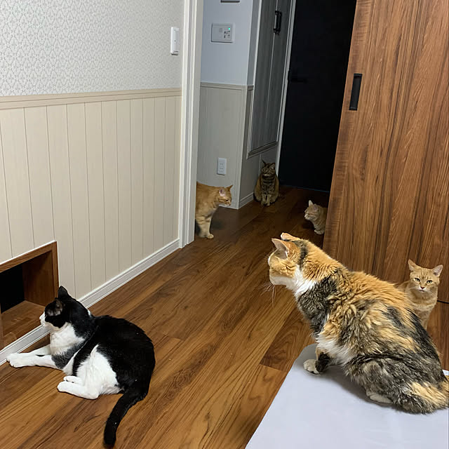 mikeume7さんの実例写真