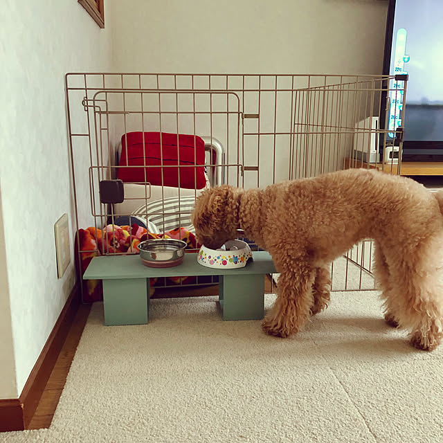 chaimomさんの実例写真