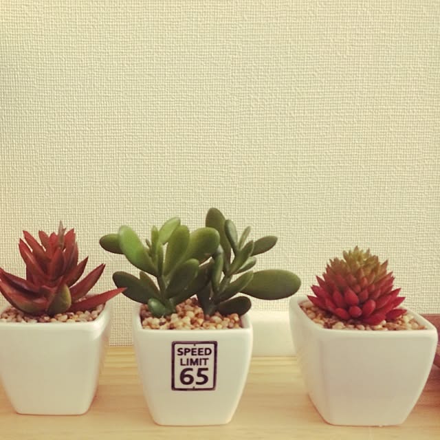 CHAKIさんの実例写真