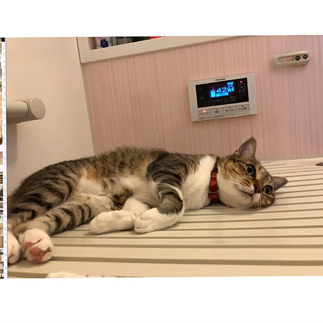 mimiruruさんの実例写真