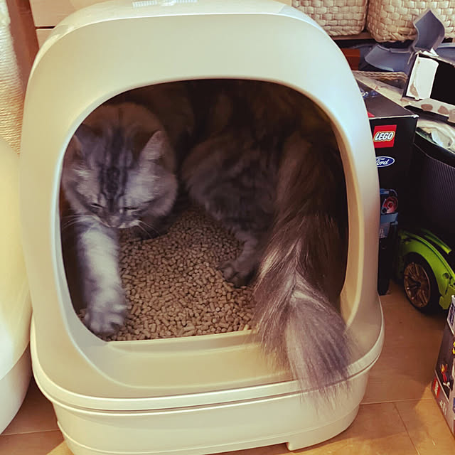 ecopanaさんの部屋