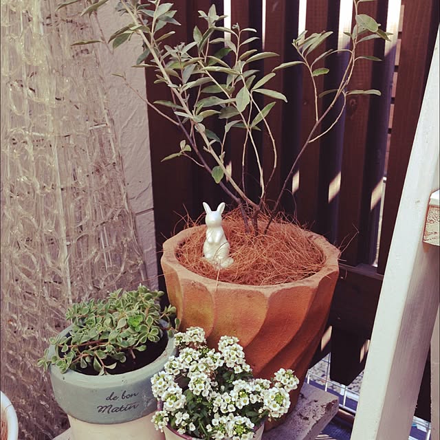 mimiさんの実例写真