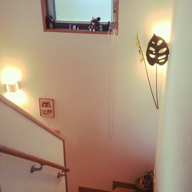 hiyohiyoriiさんの実例写真